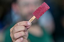 Eishockey, Herren, DEL, Saison 2024-2025, Vorbereitung, ERC Ingolstadt - Dresdner Eislöwen, 18.08.2024