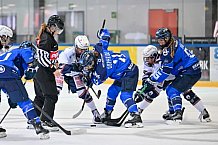 Eishockey, Frauen, DFEL, Saison 2026-2027, ERC Ingolstadt - Eisbären Juniors Berlin, 20.09.2026