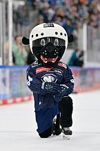 Eishockey, Herren, DEL, Saison 2024-2025, Spieltag 15, ERC Ingolstadt - Augsburger Panther, 03.11.2024