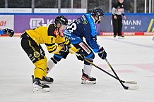 Eishockey, Herren, U20 DNL, Saison 2025-2026, ERC Ingolstadt - Krefeld Pinguine, 10.01.2026
