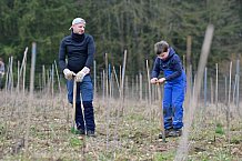 Eishockey, Herren, DEL, Saison 2023-2024, ERC Ingolstadt - Baumpflanzaktion, 02.03.2024