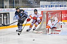 ERC Ingolstadt vs Duesseldorfer EG, Eishockey, DEL, Deutsche Eishockey Liga, Spieltag 50, 21.02.2017