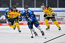 Eishockey, Herren, U20 DNL, Saison 2025-2026, ERC Ingolstadt - Krefeld Pinguine, 10.01.2026