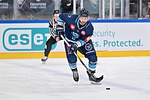 Eishockey, Mens, CHL, Season 2023-2024, ERC Ingolstadt - Färjestad Karlstad, 02.09.2023