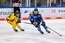Eishockey, U20, DNL, Saison 2024-2025, ERC Ingolstadt - Krefelder EV 81, 01.03.2025