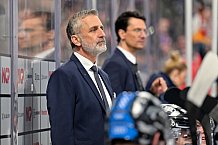 Eishockey, Herren, DEL, Saison 2024-2025, Playoffs Viertelfinale, Spiel 1, Nürnberg Ice Tigers - ERC Ingolstadt, 18.03.2025