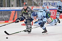 Eishockey, Herren, DEL, Saison 2023-2024, Spieltag 30, ERC Ingolstadt - Straubing Tigers, 23.12.2023