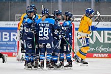 Eishockey, Frauen, DFEL, Saison 2025-2026, Testspiel, ERC Ingolstadt - HC Davos, 14.02.2026