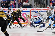 Eishockey, Herren, DEL, Saison 2024-2025, Playoffs Viertelfinale, Spiel 1, Nürnberg Ice Tigers - ERC Ingolstadt, 18.03.2025