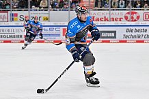 Eishockey, Herren, DEL, Saison 2023-2024, Spieltag 38, ERC Ingolstadt - Adler Mannheim, 14.01.2024