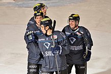ERC Ingolstadt vs Schwenninger Wild Wings, Eishockey, DEL, Deutsche Eishockey Liga, 22.01.2016
