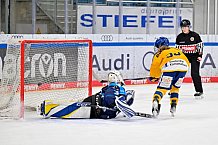 Eishockey, Frauen, DFEL, Saison 2025-2026, Testspiel, ERC Ingolstadt - HC Davos, 14.02.2026