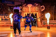 Eishockey, Herren, DEL, Saison 2026-2027, Spieltag 8, ERC Ingolstadt - Löwen Frankfurt, 11.10.2026