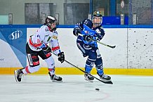Eishockey, Frauen, DFEL, Saison 2023-2024, ERC Ingolstadt - ECDC Memmingen Indians, 21.01.2024