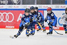 Eishockey, Herren, DEL, Saison 2023-2024, Spieltag 18, ERC Ingolstadt - Eisbären Berlin, 05.11.2023