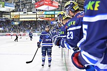 ERC Ingolstadt vs Koelner Haie, DEL, Deutsche Eishockey Liga, Spieltag 41, 20.01.2019