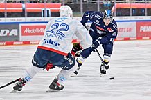 Eishockey, Herren, DEL, Saison 2024-2025, Spieltag 17, ERC Ingolstadt - Adler Mannheim, 17.11.2024