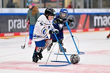 Eishockey, Saison 2025-2026, ERC Ingolstadt - Kids On Ice Day, 29.11.2025