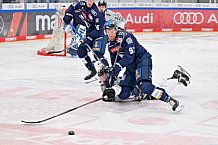 Eishockey, Herren, DEL, Saison 2024-2025, Playoffs Halbfinale, Spiel 5, ERC Ingolstadt - Kölner Haie, 11.04.2025
