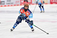 Eishockey, Frauen, DFEL, Saison 2024-2025, ERC Ingolstadt - EC Bergkamener Bären, 05.01.2025