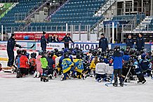 Eishockey, Herren, DEL, Saison 2023-2024, ERC Ingolstadt - Kids on Ice Day, 18.11.2023