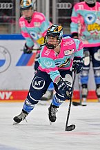 Eishockey, Frauen, DFEL, Saison 2023-2024, ERC Ingolstadt - ESC Planegg-Würmtal, 26.11.2023