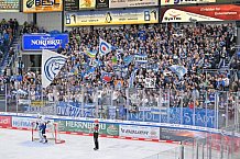 Eishockey, Herren, DEL, Saison 2022-2023, Playoff-Halbfinale - Spiel 1, ERC Ingolstadt - Adler Mannheim, 31.03.2023