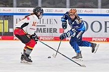 Eishockey, Frauen, DFEL, Saison 2024-2025, ERC Ingolstadt - EC Bergkamener Bären, 05.01.2025