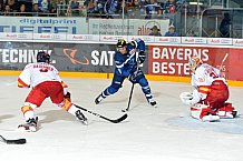 ERC Ingolstadt vs Duesseldorfer EG, Eishockey, DEL, Deutsche Eishockey Liga, Spieltag 19, 18.11.2016