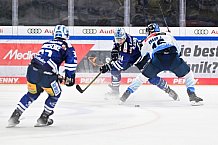 Eishockey, Herren, DEL, Saison 2024-2025, Vorbereitung, ERC Ingolstadt - Dresdner Eislöwen, 18.08.2024