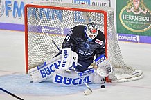 ERC Ingolstadt vs Eisbären Berlin, DEL, Deutsche Eishockey Liga, Spieltag 14, 25.10.2019