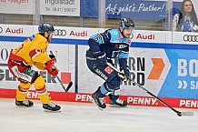 Eishockey, Herren, DEL, Saison 2022-2023, Playoff-Viertelfinale - Spiel 1, ERC Ingolstadt - Düsseldorfer EG, 15.03.2023
