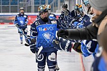 Eishockey, Frauen, DFEL, Saison 2023-2024, ERC Ingolstadt - Amsterdam Tigers, 06.01.2024
