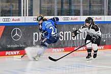 Eishockey, Frauen, DFEL, Saison 2023-2024, ERC Ingolstadt - Amsterdam Tigers, 06.01.2024