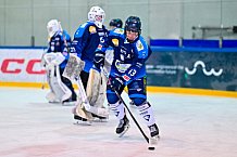 Eishockey, Herren, U20 DNL, Saison 2025-2026, Viertelfinale - Spiel 2, ERC Ingolstadt - ESC Dresden, 08.03.2026