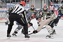 Eishockey, Herren, DEL, Saison 2023-2024, Spieltag 36, ERC Ingolstadt - Kölner Haie, 07.01.2024