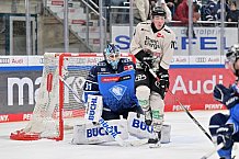 Eishockey, Herren, DEL, Saison 2023-2024, PrePlayoffs - Spiel 1, ERC Ingolstadt - Kölner Haie, 10.03.2024