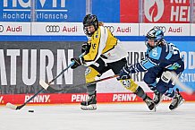 Eishockey, Frauen, DFEL, Halbfinale, Saison 2022-2023, ERC Ingolstadt - Mad Dogs Mannheim, 25.02.2023