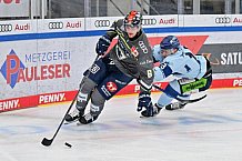 Eishockey, Herren, DEL, Saison 2023-2024, Spieltag 30, ERC Ingolstadt - Straubing Tigers, 23.12.2023