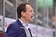 ERC Ingolstadt vs Adler Mannheim, DEL, Deutsche Eishockey Liga, Spieltag 46, 15.02.2019