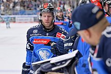 Eishockey, Herren, DEL, Saison 2023-2024, Spieltag 23, ERC Ingolstadt - Straubing Tigers, 01.12.2023
