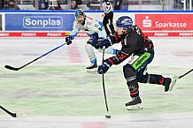 Eishockey, Herren, DEL, Saison 2024-2025, Spieltag 39, Straubing Tigers - ERC Ingolstadt, 24.01.2025