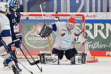 Eishockey, Herren, DEL, Saison 2024-2025, Spieltag 45, ERC Ingolstadt - Iserlohn Roosters, 16.02.2025