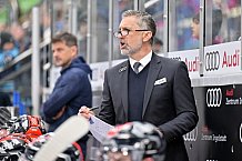 Eishockey, Herren, DEL, Saison 2023-2024, Spieltag 20, ERC Ingolstadt - Adler Mannheim, 19.11.2023