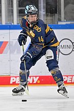 Eishockey, Frauen, DFEL, Saison 2022-2023, ERC Ingolstadt - EC Bergkamener Bären, 18.02.2023