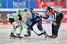 Eishockey, Herren, DEL, Saison 2022-2023, Spieltag 58, ERC Ingolstadt - Bietigheim Steelers, 28.02.2023