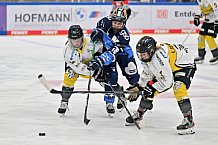 Eishockey, Frauen, DFEL, Saison 2023-2024, ERC Ingolstadt - Mad Dogs Mannheim, 18.02.2024