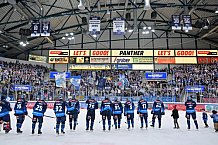 Eishockey, Herren, DEL, Saison 2024-2025, Spieltag 26, ERC Ingolstadt - Iserlohn Roosters, 15.12.2024
