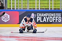 Eishockey, Mens, CHL, Season 2023-2024, ERC Ingolstadt - Växjö Lakers, 14.11.2023