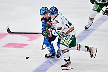 Eishockey, Herren, DEL, Saison 2025-2026, Spiel 19, ERC Ingolstadt - Augsburger Panther, 16.11.2025